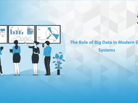 ERP and big data